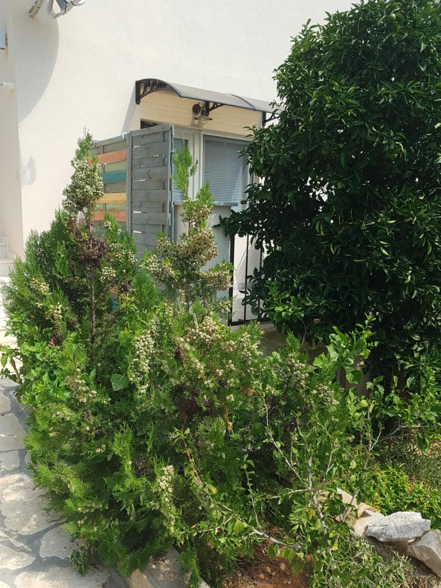 Hamo Apartments & Soba Lumbarda Ngoại thất bức ảnh